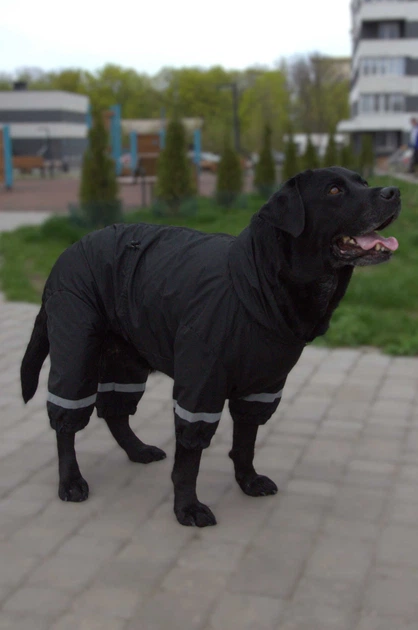 Дощовик Dogsbomba для великих собак чорний MB-6 розмір 12 (2000000053646) - изображение 2
