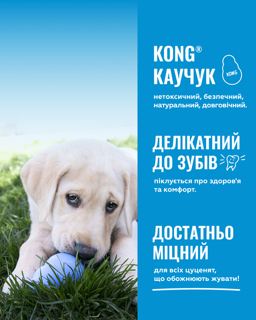 Іграшки KONG Puppy Іграшка груша-годівниця для цуценят, рожева L (31115_рожевий) - Фото 8 Іграшки KONG Puppy Іграшка груша-годівниця для цуценят, рожева L (31115_рожевий) - зображення 8