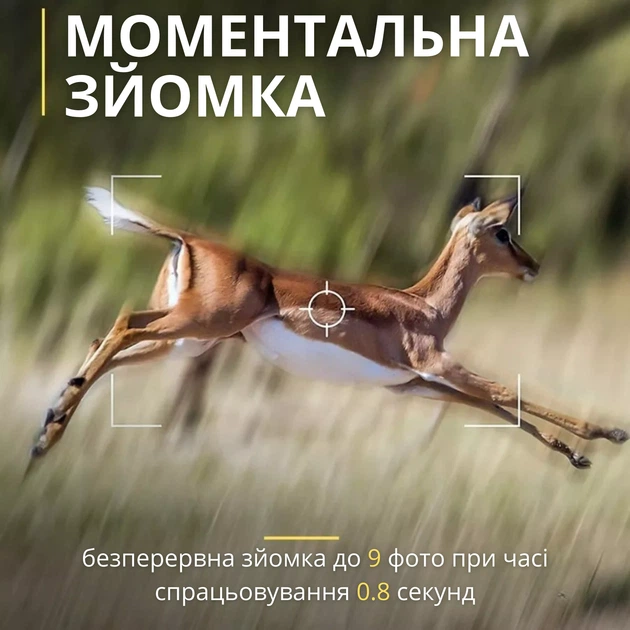 Фотоловушка с датчиком движения и ночным видением / Охотничья камера / Камера наблюдения - изображение 9