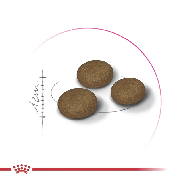 ROYAL CANIN EXIGENT FUSSY Сухой корм для привередливых кошек 400 г - изображение 2