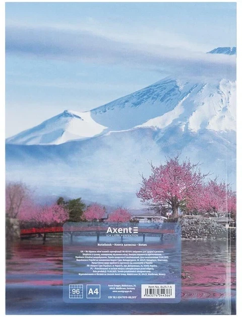 Книга записная Axent City Tokyo А4 20.3 х 27.3 мм 96 листов в клетку (8425-7-A) Китай - Фото 5 Книга записная Axent City Tokyo А4 20.3 х 27.3 мм 96 листов в клетку (8425-7-A) Китай - изображение 5
