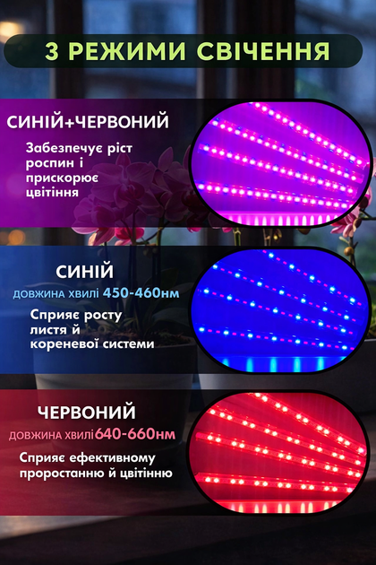 Фітолампа для рослин LED повний спектр 30W 3 лампи з таймером, лампа для розсади та квітів - изображение 8
