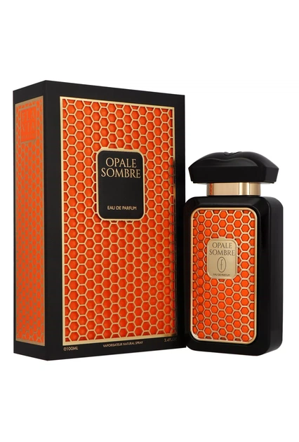 Парфумована вода унісекс Flavia Opale Sombre 100 мл (6295199800379) - зображення 2