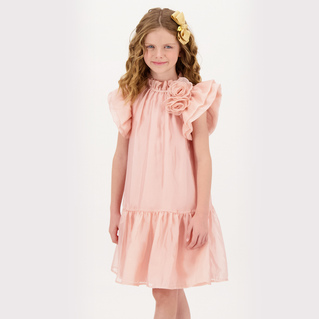 Платье Angel`s Face Loreen Flowers Blush Pink, цвет розовый, размер 104 (241.LOREEN.BLUSH) - Фото 5 Платье Angel`s Face Loreen Flowers Blush Pink, цвет розовый, размер 104 (241.LOREEN.BLUSH) - изображение 5