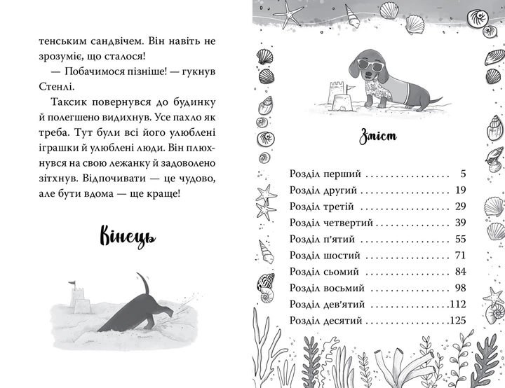 Такса. Серфер. Белла Свіфт - зображення 5