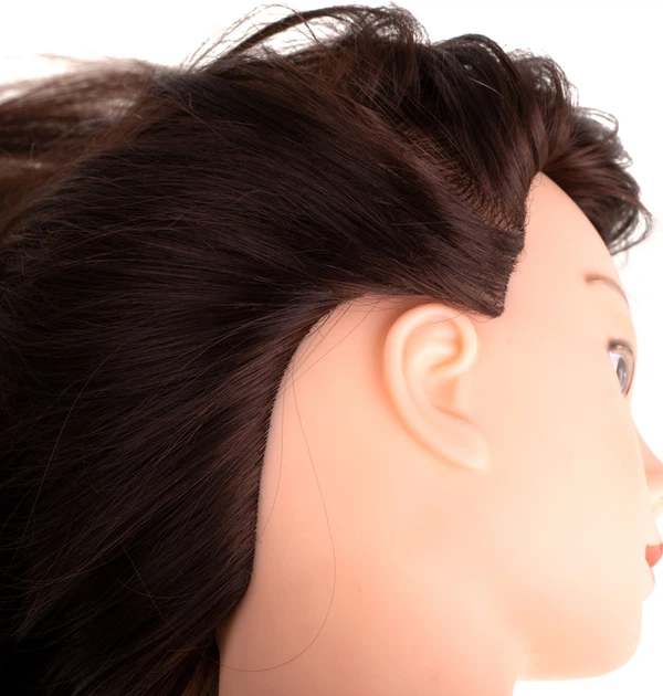 Перукарська голова KIK з натуральним волоссям для тренувань Коричнева KX6961 (5903039760752) - зображення 3