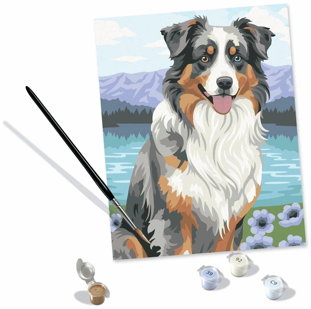 Картина за номерами Ravensburger CreArt Австралійська вівчарка Мерлін 12023114 (4005555231141) - зображення 4