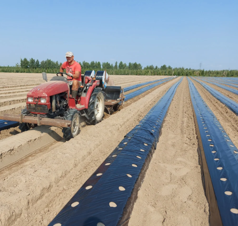 Пленка SHD 30 мкм 1м*10 м Пленка SHD для мульчирования грунта с перфорацией Shadow - изображение 6