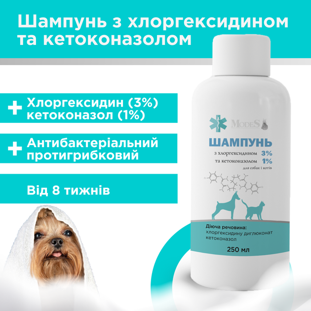 Шампунь антибактериальный с хлоргексидином 3% и кетоконазолом 1% для собак и кошек, 250 мл, MODES - Фото 3 Шампунь антибактериальный с хлоргексидином 3% и кетоконазолом 1% для собак и кошек, 250 мл, MODES - изображение 3