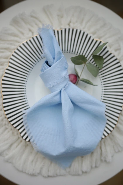 Салфетка хлопковая для сервировки VTILENE, Light blue, 35х35 см - Фото 4 Салфетка хлопковая для сервировки VTILENE, Light blue, 35х35 см - изображение 4