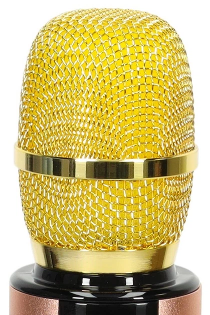 Mikrofon dziecięcy bezprzewodowy Ikonka karaoke głośnik Bluetooth 2000 mAh karta SD USB Złoty (KX3382_1) (5903039757226) - obraz 3