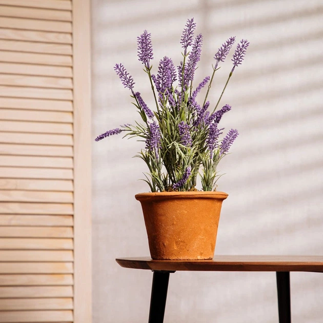 Штучна рослина Homla Lavender лаванда 43 см (5904183882017) - зображення 4