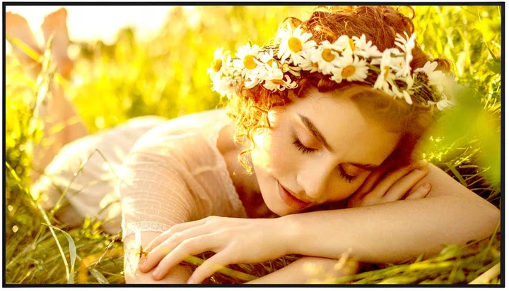 Монітор 43" LG UHD Signage 43UL5Q-E - зображення 1