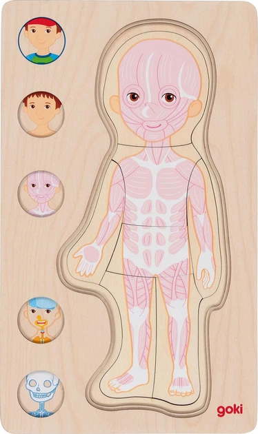 Настільна гра Goki Human Body Boy (4013594573610) - зображення 5