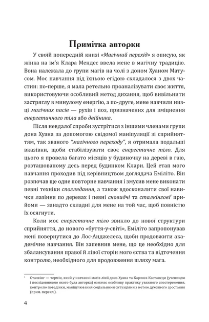 Тайша Абеляр - Сталкінг з двійником - зображення 4