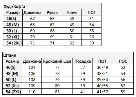 Зимовий чоловічий спортивний костюм теплий 50 (L) Чорний - зображення 2