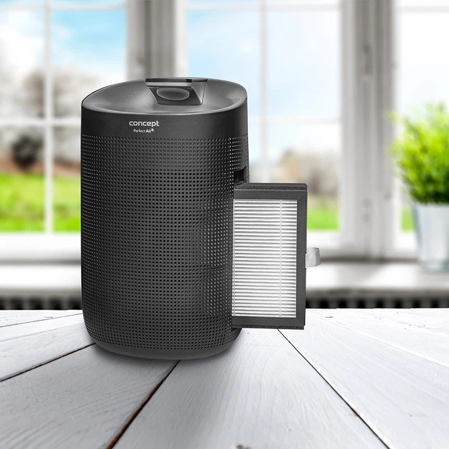 Осушувач та очищувач повітря Concept Perfect Air OV1210 Чорний - зображення 11