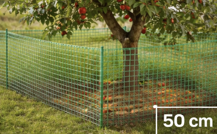 Сетка садовая пластиковая Клевер для заборов и сада 10×10 мм 50см × 10м Светло-зеленый - изображение 15