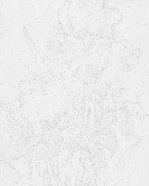 Картина по номерам 50*60 см Роскошные ирисы. Цветы Оригами LW 32040 большой размер - Фото 10 Картина по номерам 50*60 см Роскошные ирисы. Цветы Оригами LW 32040 большой размер - изображение 10