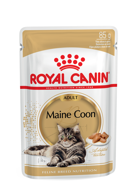 Вологий корм Royal Canin Maine Coon Adult (Роял Канін Мейн Кун) для кішок 12 x 85 гр - Фото 1 Вологий корм Royal Canin Maine Coon Adult (Роял Канін Мейн Кун) для кішок 12 x 85 гр - изображение 1