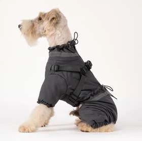 Теплый комбинезон для собак V.PET.B.R. Dog Apparel C837 Dark Grey, XS - Фото 1 Теплый комбинезон для собак V.PET.B.R. Dog Apparel C837 Dark Grey, XS - изображение 1