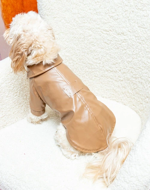 Куртка Dogsbomba з екошкіри карамель K-101 розмір 4 (2000000100319) - Фото 2 Куртка Dogsbomba з екошкіри карамель K-101 розмір 4 (2000000100319) - изображение 2