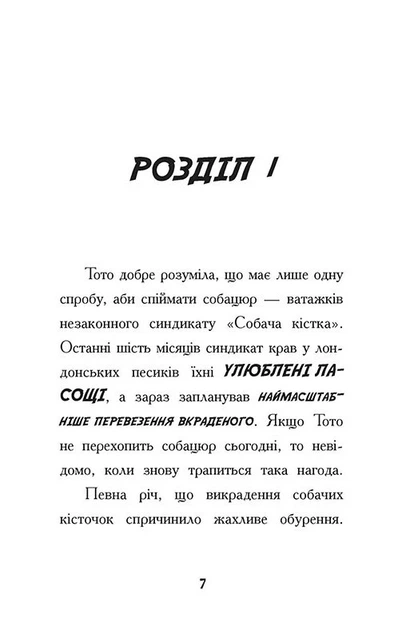 Книга «Тото. Кішка-ніндзя і КОТОстрофа суперзірки. Книга 3». Автор - Дермот О’Лірі - изображение 8