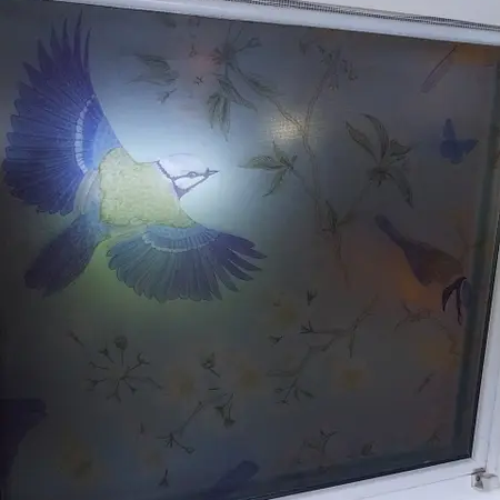 Плівка самоклейка для скла Синя синиця напівпрозора на вікна птахи антивідблискова 3 пог.м 100х300см Happy Pocket - Фото 7 Плівка самоклейка для скла Синя синиця напівпрозора на вікна птахи антивідблискова 3 пог.м 100х300см Happy Pocket - зображення 7