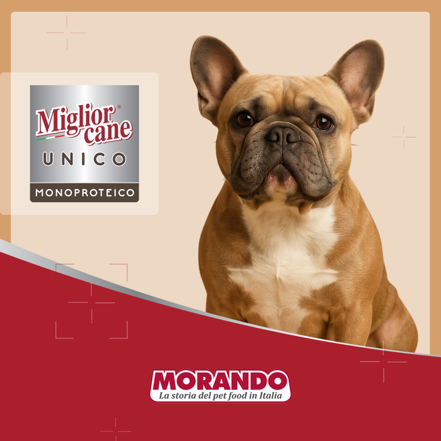 Консервований корм Morando Migliorcane UNICO Вологий корм з індичкою для собак середніх і великих порід 300 г (m02445) - зображення 6