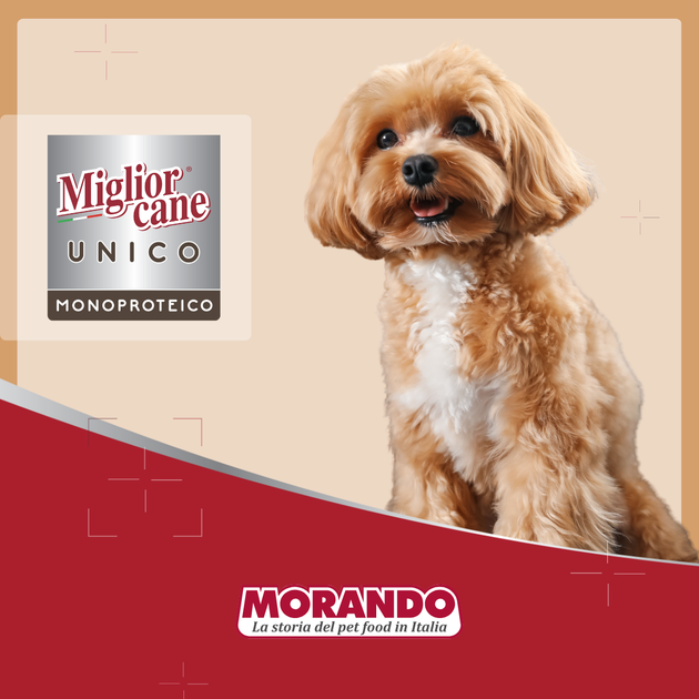 Консервированный корм Morando Migliorcane UNICO Влажный корм для собак, паштет из телятины 100 г (m02452) - изображение 6