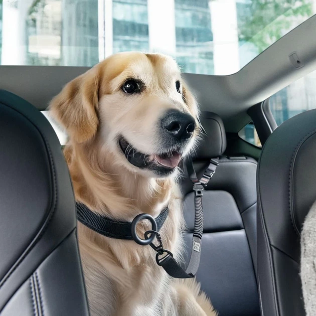 Uchwyt samochodowy Spigen PS100 Universal Car Seat Belt Holder for Pets Black (8809971237567) - obraz 8
