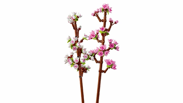 Конструктор Lego Botanicals Цветение вишни 40725 – игрушки с