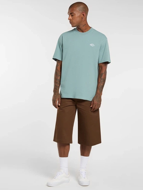 Футболка довга чоловіча Dickies DK0A4YAIL371 S Бірюзова (800070354498) - зображення 3