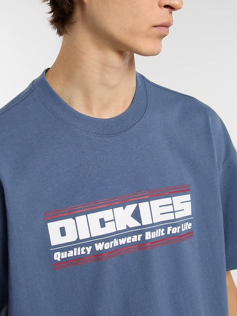 Koszulka męska bawełniana Dickies DK0A88JGRI21 S Niebieska (800070354607) - obraz 4