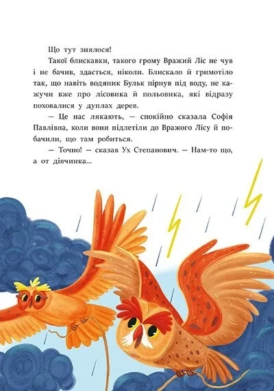 Книга «Книги Всеволода Нестайка. В Країні Сонячних Зайчиків». Автор - Всеволод Нестайко - Фото 5 Книга «Книги Всеволода Нестайка. В Країні Сонячних Зайчиків». Автор - Всеволод Нестайко - зображення 5
