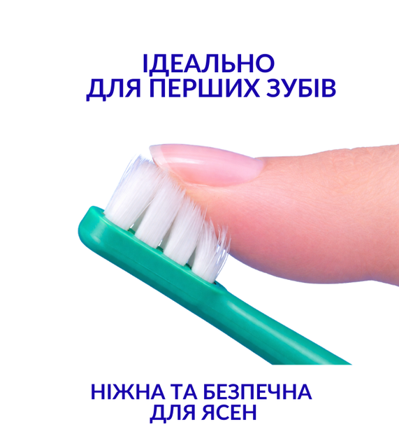 Дитяча зубна щітка 1–4 роки для перших зубів Ci Kids Little Bear (4580532546116_зелена) - Фото 2 Дитяча зубна щітка 1–4 роки для перших зубів Ci Kids Little Bear (4580532546116_зелена) - зображення 2