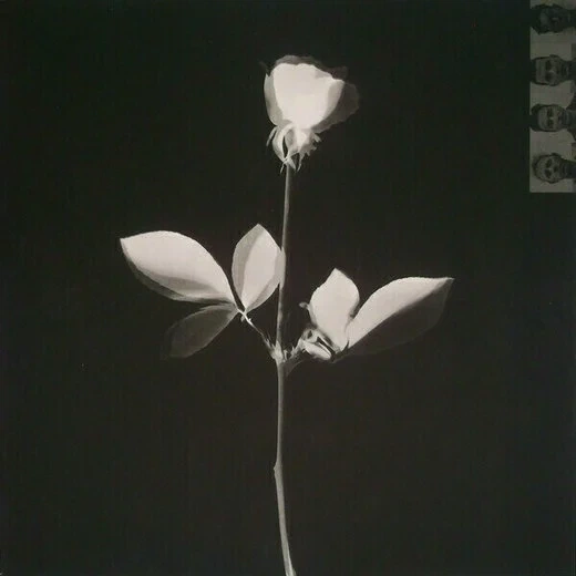 Вінілова платівка Depeche Mode - Violator (Reissue) (Remastered) (LP) 180g - изображение 2