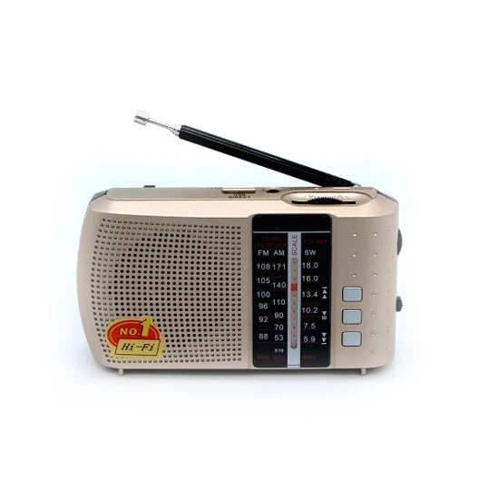 Радіоприймач Golon ICF-8BT акумуляторний всіхвільний FM AM SW з USB та microSD, портативне радіо з батареєю 18650, підтримка флешки, вихід 3.5 мм, Silver - Фото 1 Радіоприймач Golon ICF-8BT акумуляторний всіхвільний FM AM SW з USB та microSD, портативне радіо з батареєю 18650, підтримка флешки, вихід 3.5 мм, Silver - зображення 1
