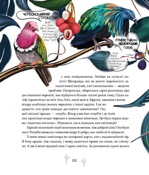 Книга Такі, як ми. Про тварин та їхні характери - Яна Хоменко - зображення 3
