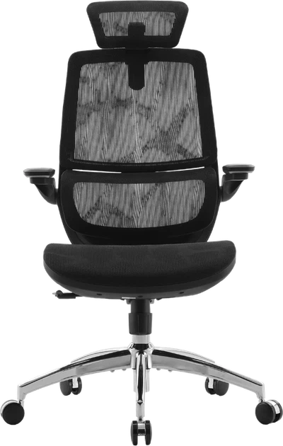 Крісло офісне Sihoo M59AS Mesh Black - Фото 1 Крісло офісне Sihoo M59AS Mesh Black - зображення 1