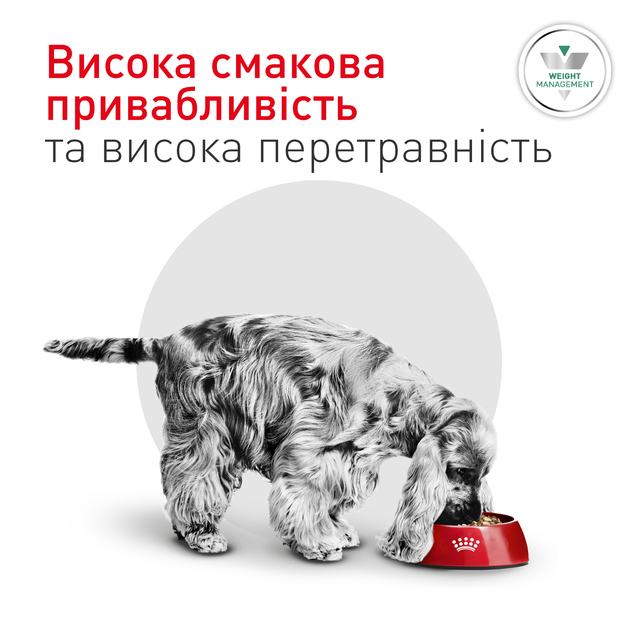 Лікувальний корм Royal Canin Glycobalance Small Dog Сухий корм-дієта для контролю рівня глюкози при цукровому діабеті в дорослих собак малих порід 1,5 кг (R606107) - зображення 6