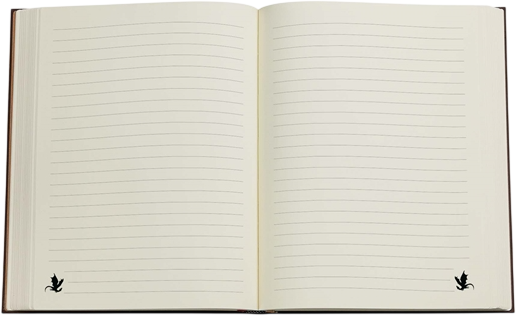 Записная книжка Paperblanks Четвертое крыло – Тени Наварры 18х23 см 144 страницы в линейку (9781439799864) - изображение 3