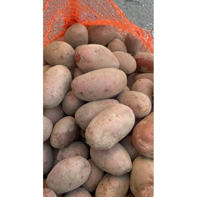 Насіннєва картопля Алюетт 1 кг, 80-90 днів 2 репродукція - изображение 4