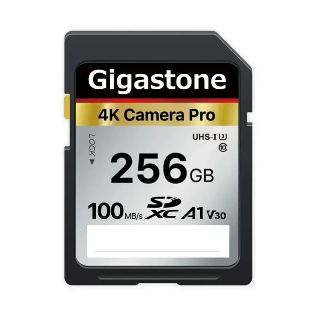 Карта памяти Gigastone SDXC 256GB 4K A1 V30 до 100 МБ/с - Фото 1 Карта памяти Gigastone SDXC 256GB 4K A1 V30 до 100 МБ/с - изображение 1