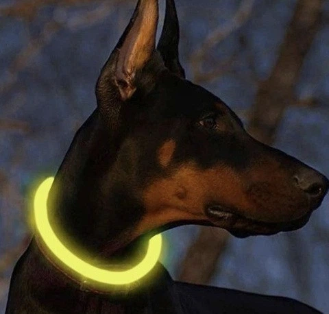 Світлодіодний нашийник для собак і котів Purlov 24200, LED нашийник з USB зарядкою та регульованою довжиною