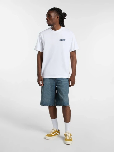 Футболка бавовняна довга чоловіча Dickies Plain City Ss DK0A88JI0WH1 S Біла (800070354615) - зображення 3