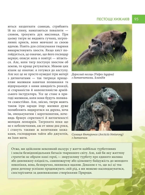 Книга «Енциклопедія для допитливих А5. Батьки і діти у тваринному світі». Автор - Андрій Гапченко - Фото 5 Книга «Енциклопедія для допитливих А5. Батьки і діти у тваринному світі». Автор - Андрій Гапченко - изображение 5