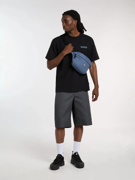 Koszulka bawełniana długa męska Dickies Vernal DK0A88JVBLK1 M Czarna (800070354635) - obraz 3