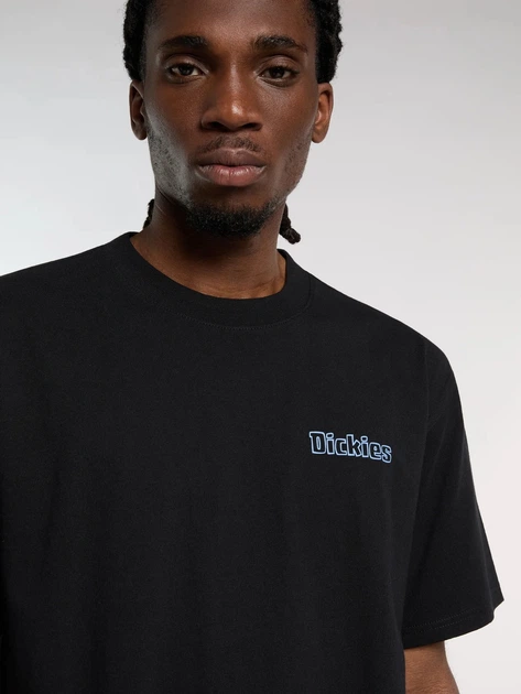 Koszulka bawełniana długa męska Dickies Fairlawn Ss DK0A88GEBLK1 M Czarna (800070354589) - obraz 4