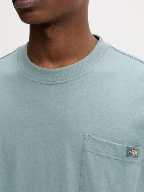 Koszulka bawełniana długa męska Dickies Luray DK0A4YFCL371 S Jasnobłękitna (800070354502) - obraz 4
